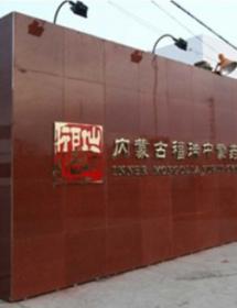 福瑞医疗科技股份有限公司泄爆门项目