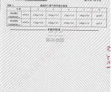 气密门检验报告